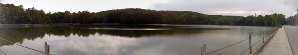Haledon